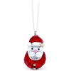 Rocking Santa Claus