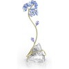 Forget Me Not