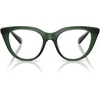 Transparent Green/Demo Lens