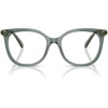 Transparent Green/Demo Lens