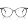 Transparent Grey/Demo Lens