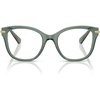Transparent Green/Demo Lens
