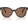 Dark Havana/Dark Brown