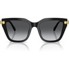 Black/Polarized Grey Gradient