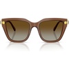 Transparent Brown/Gradient Brown Polarized