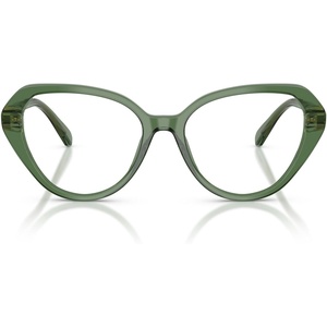 Swarovski Women’s Sk2054 Cat Eye Prescription Eyewear Frames(Transparent Green/Demo Lens)