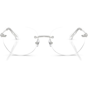 Swarovski womens Sk1038 Round Prescription Eyewear Frames(Silver/Demo Lens)