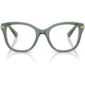 Swarovski womens Sk2044 Square Prescription Eyewear Frames(Transparent Green/Demo Lens)