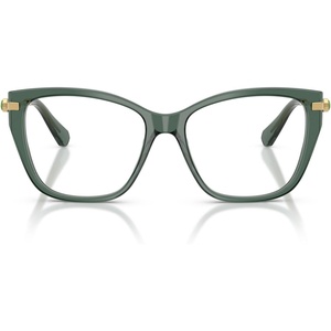 Swarovski womens Sk2060 Cat Eye Prescription Eyewear Frames(Transparent Light Green/Demo Lens)