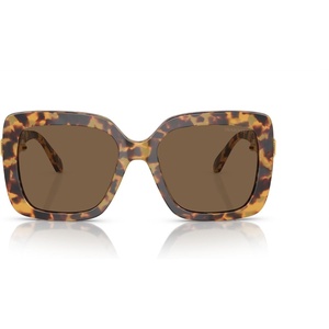 Swarovski womens Sk6001 Square Sunglasses(Transparent Dark Green/Dark Grey)