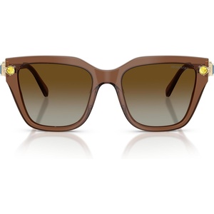 Swarovski womens Sk6041 Square Sunglasses(Transparent Brown/Gradient Brown Polarized)