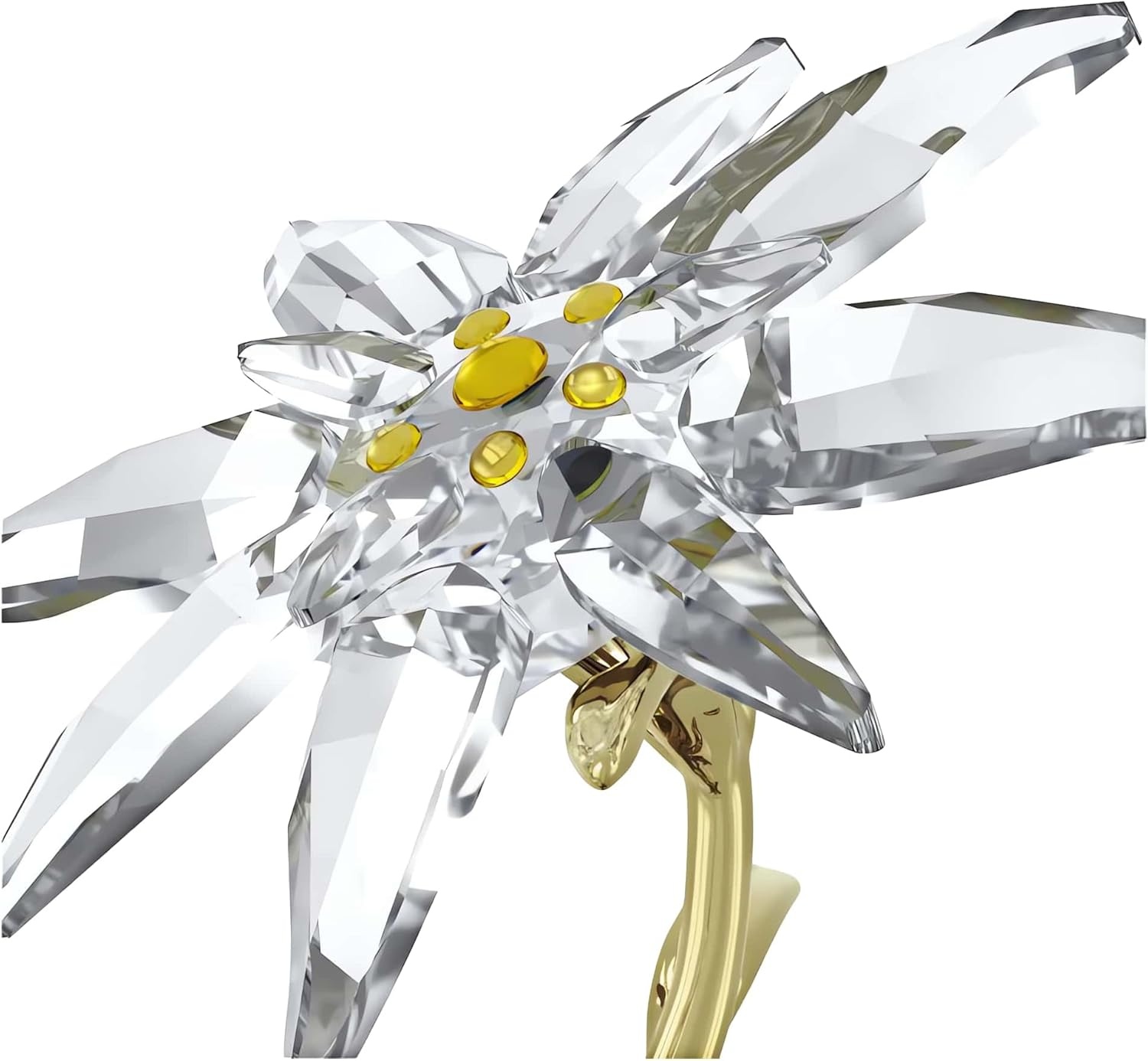 image:imageSwarovski Florere 130th Anniversary Bell Jar
