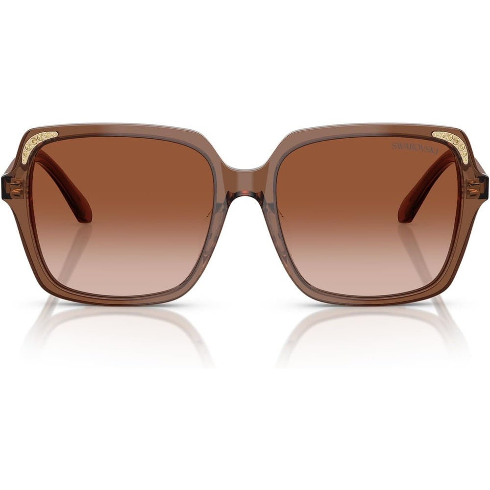 image:imageSwarovski womens Sk6034d Square SunglassesTransparent BrownGradient Brown