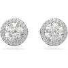 NEW Rhodium Stud Earrings