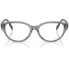Transparent Dark Grey/Demo Lens