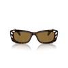 Dark Havana/Bronze