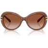Transparent Brown/Gradient Brown