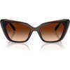 Transparent Brown/Brown Gradient