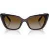 Transparent Brown/Polar Brown Gradient