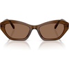 Transparent Brown/Dark Brown