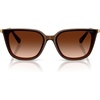 Transparent Brown/Gradient Brown
