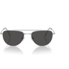 Silver/Dark Grey