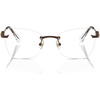 Light Brown/Demo Lens