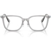 Transparent Grey/Demo Lens