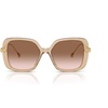 Beige Transparent/Gradient Brown