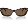 Medium Havana/Polarized Brown Gradient