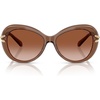 Transparent Brown/Gradient Brown