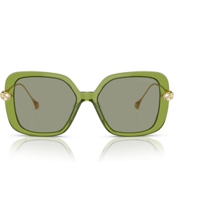 Swarovski womens Sk6011 Square Sunglasses(Transparent Green/Green)